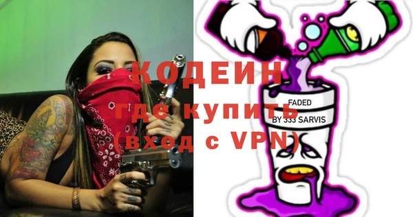гашик Ладушкин