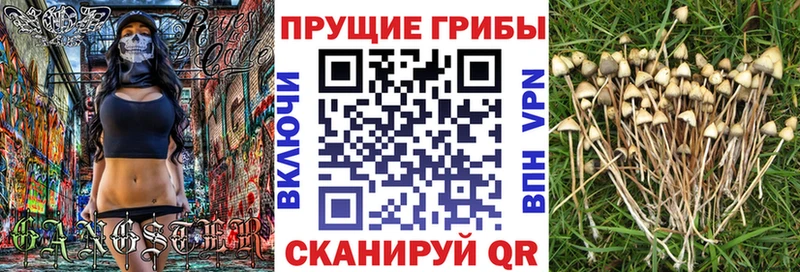 Псилоцибиновые грибы мухоморы  Цивильск 